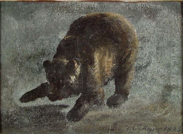 Study of a Bear - view 1