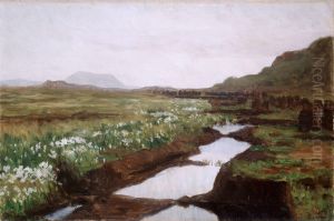 Study of a Peat Bog on Jaeren Study of a Peat Bog on Jaeren