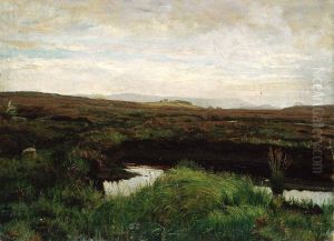 Torvemos pa Jaeren by Kitty Lange Kielland