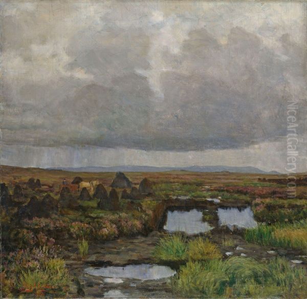 Peat Bog on Jaeren - view 1