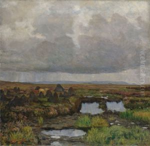 Peat Bog on Jaeren Peat Bog on Jaeren