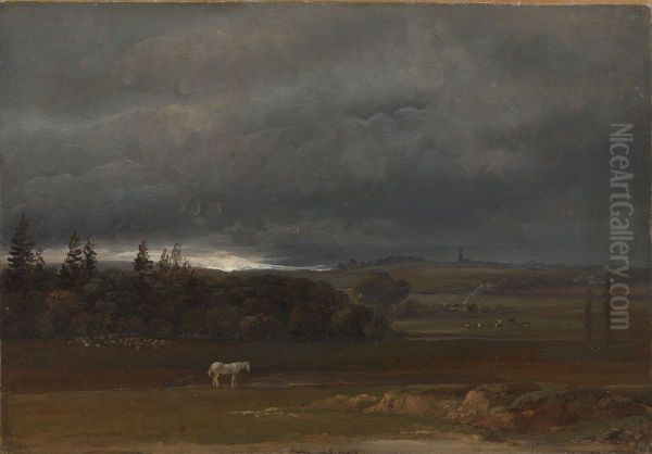 Fields near Dresden with a white Horse - view 1