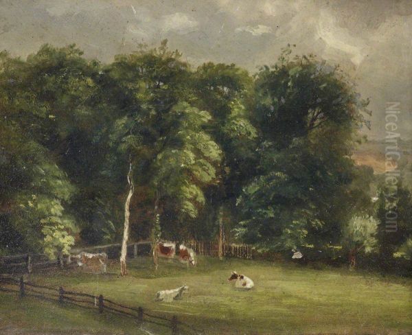 Cows in a Wooded Paddock - view 1