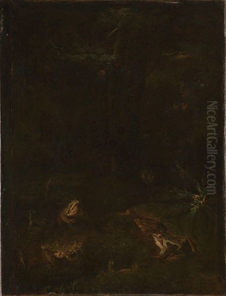 Toads and Snails - view 1