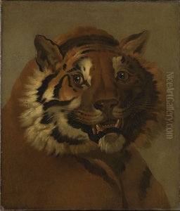 Head of a Tiger Head of a Tiger
