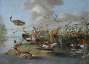 Waterfowl and Dogs