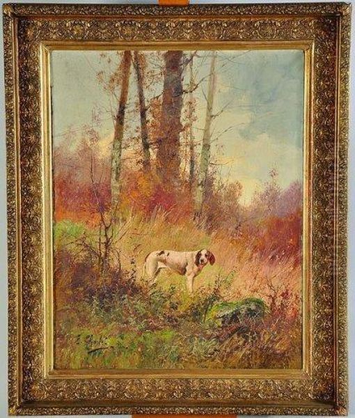 chien De Chasse En Foret - view 1