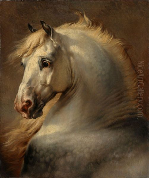 Head of a Horse - view 1