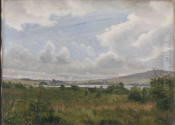 Ved Rye molle - view 1