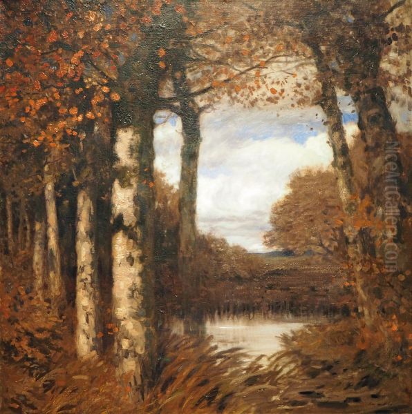 Herbst im Moor - view 1