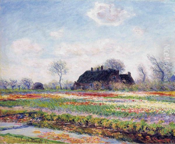 Tulip Fields at Sassenheim, Near Leiden - view 1