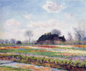 Tulip Fields at Sassenheim, Near Leiden