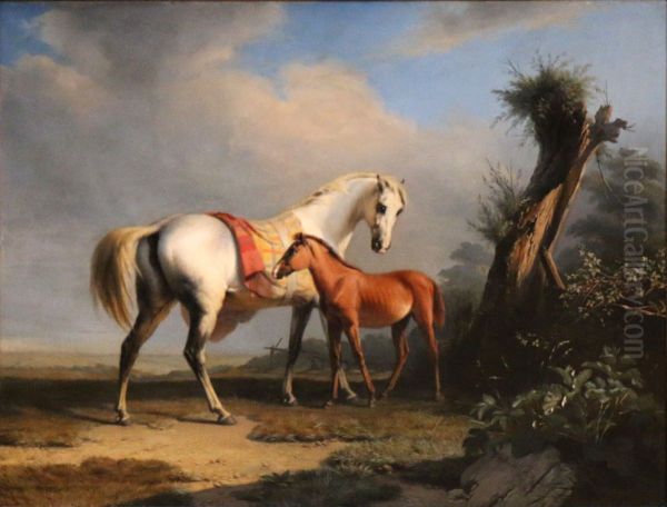 A mare and her foal - view 1