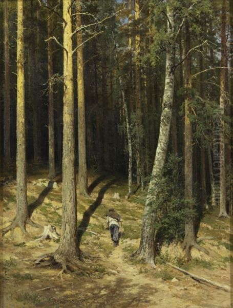 A pine forest - view 1