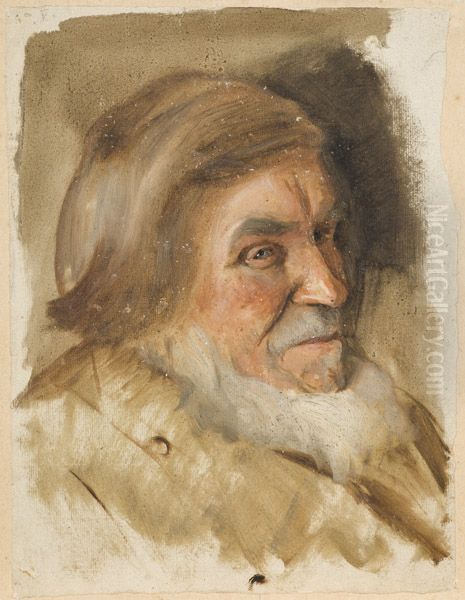 ,,Onu Magnus Treublut" - view 1
