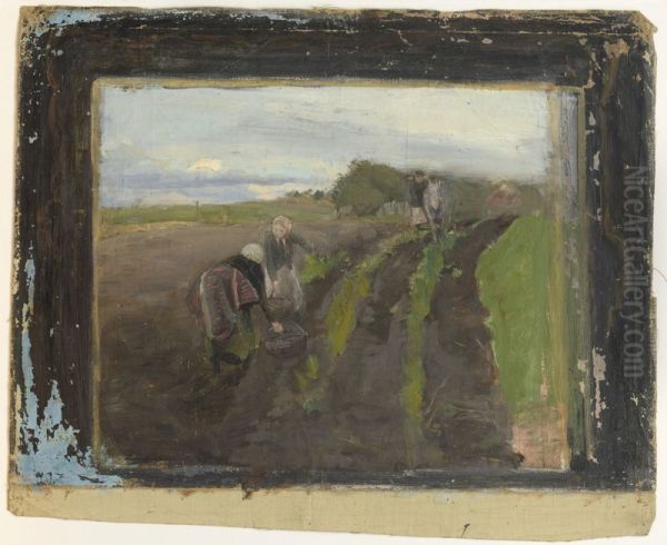 ,,Kartulivott" - view 1