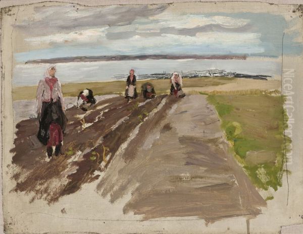 ,,Kartulivott rannal" - view 1