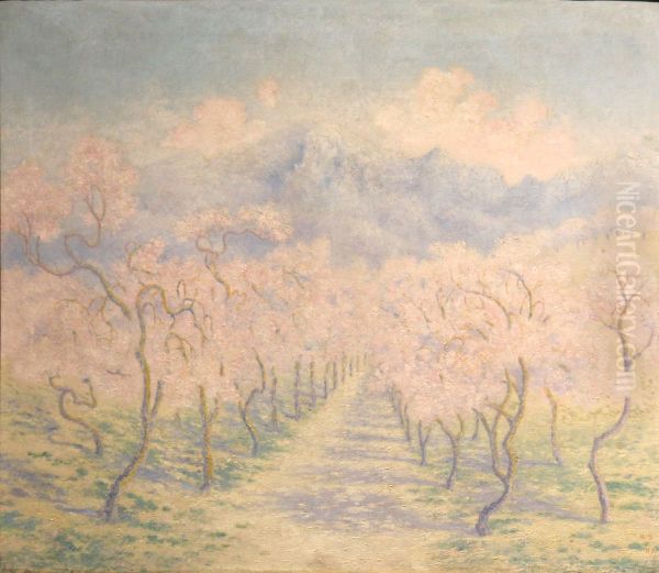 Almond trees, Balearic - view 1