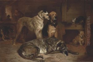 More Free Than Welcome by John Charlton