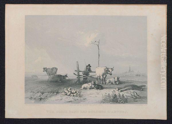 Zicht op Antwerpse polders - view 1