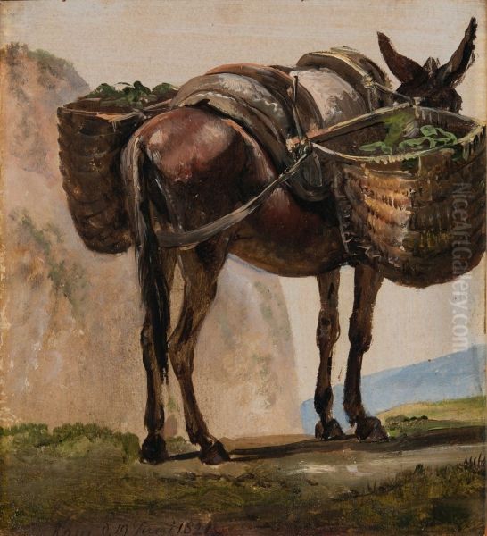 Donkey with Baskets - view 1
