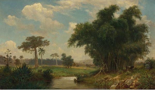 Paisaje - view 1