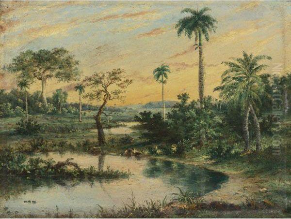 Paisaje - view 1