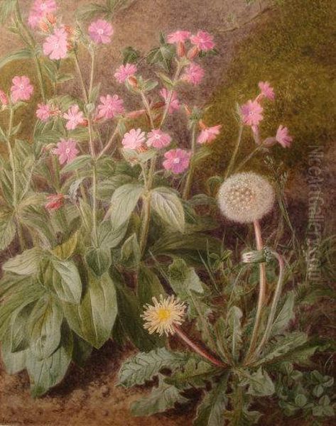 A Botanical Study Of Red Campions And Dandelions - view 1