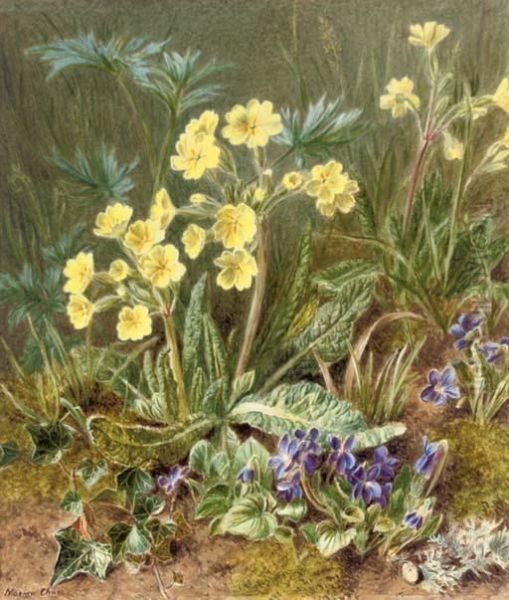 Where Oxlips And The Nodding Violet Grows - view 1