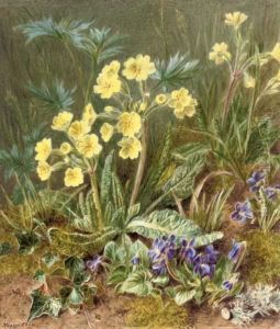 Where Oxlips And The Nodding Violet Grows by Marian Emma Chase