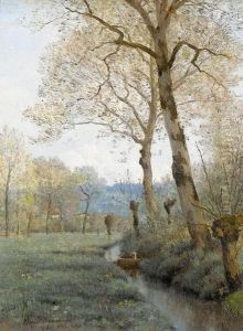 Ruisseau Environs De Lausanne
