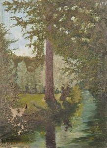 Arbre Pres Au Bord D'une Riviere