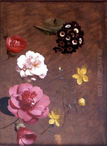 A Study Of Primulas, Camellias And Prunus - view 1
