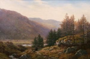 Lledr Valley, North Wales by Henry Cheadle