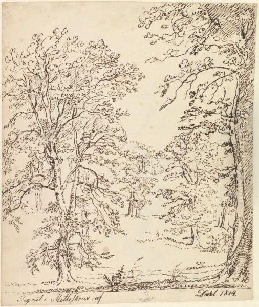 From Metteskov - view 1