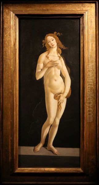 Venus - view 1