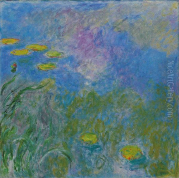 Water Lilies - view 1
