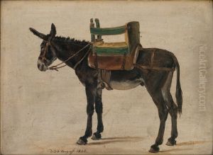 Donkey with a Chair-saddle Donkey with a Chair-saddle