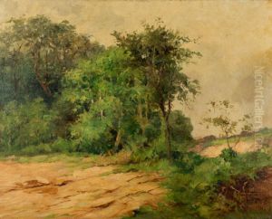 Paisagem by unknown