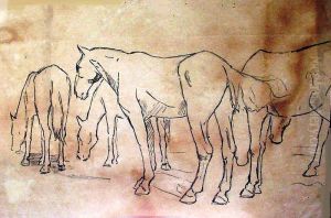 Cavalos Cavalos
