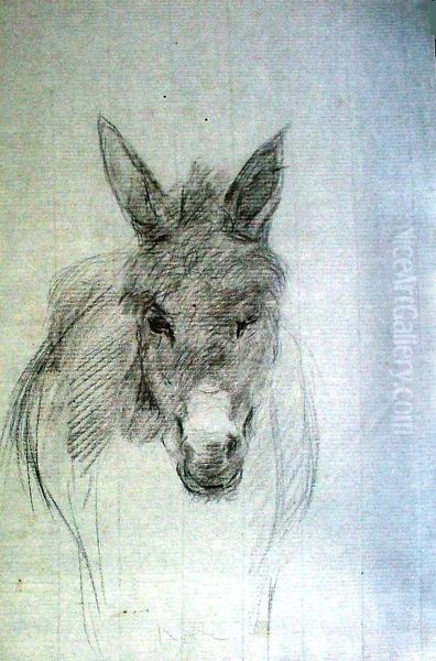 Cavalo de Frente - view 1