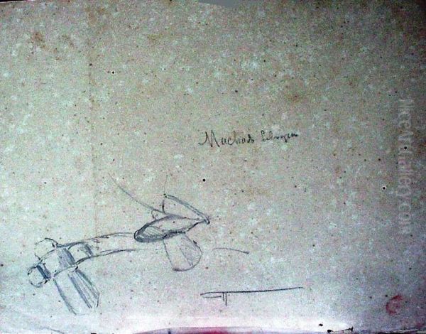 Machado Selvagem - view 1