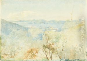 Panorama da Baia de Guanabara by unknown