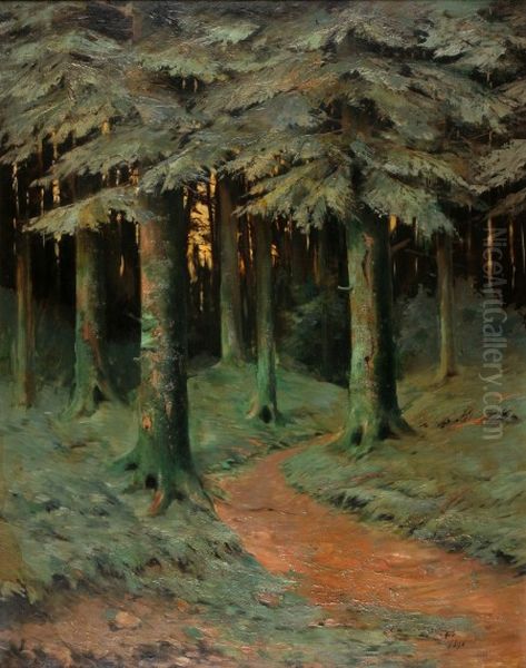 Foret de Kichompre - view 1