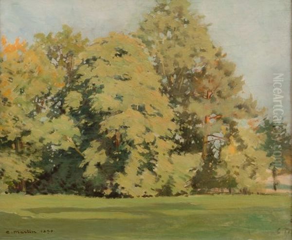 Grands arbres dans un parc - view 1