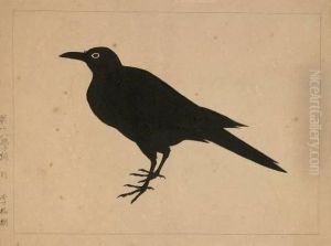 Crow 1