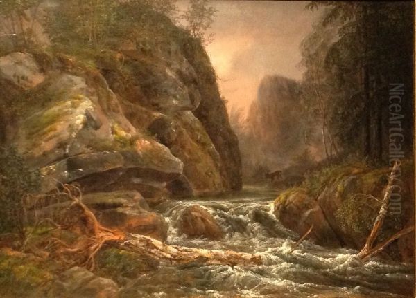 River in the Plauenscher Grund - view 1