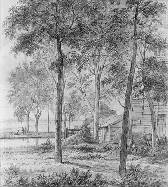Farm with Pigs under the Trees - view 1