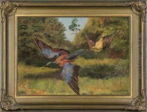Birds by Jozef Chelmonski
