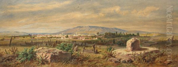 Sofia - view 1